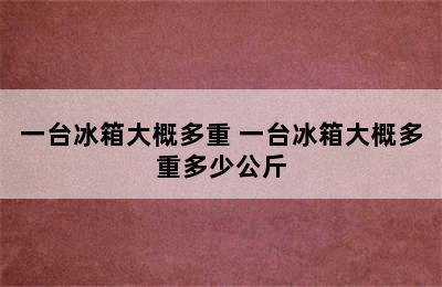 一台冰箱大概多重 一台冰箱大概多重多少公斤